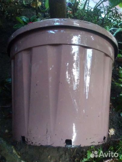 Горшки для растений большие и средние