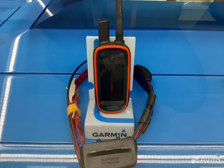 Garmin alpha 100 с ошейником tt 15 Америка
