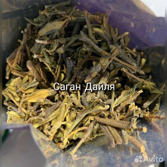 Байкальские травы