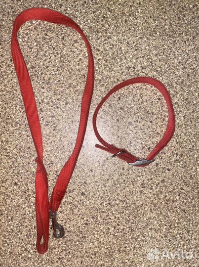 Поводок и ошейник комплект