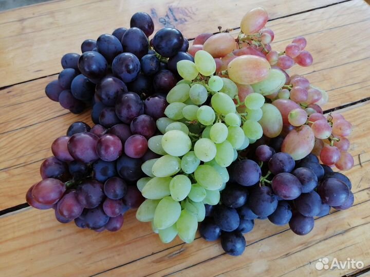 Саженцы винограда без косточек