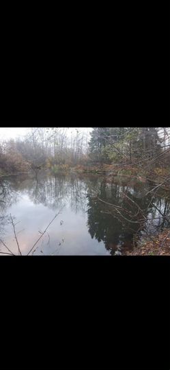 Участок 10 сот. (СНТ, ДНП)