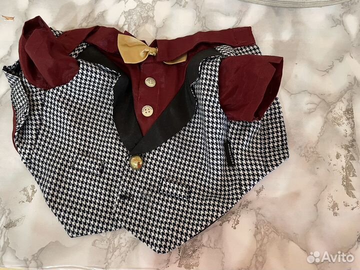 Фрак для маленькой собачки