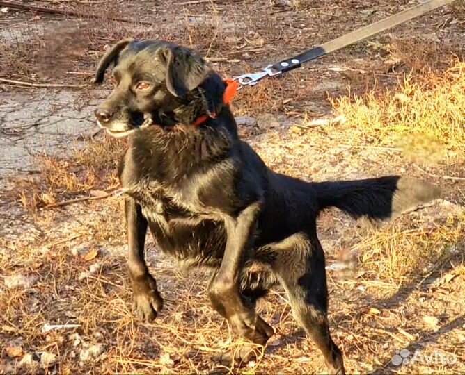 Отдадим мальчишку в заботливые руки