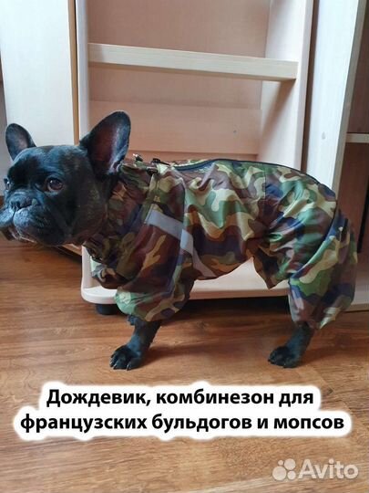 Комбинезон для собак