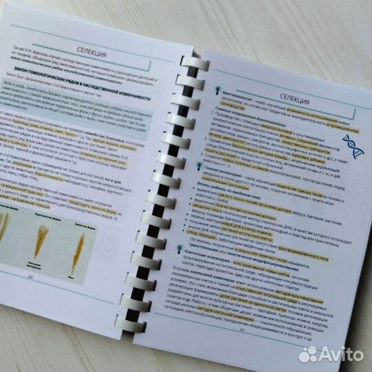 Учебник для подготовки к экзаменам по биологии