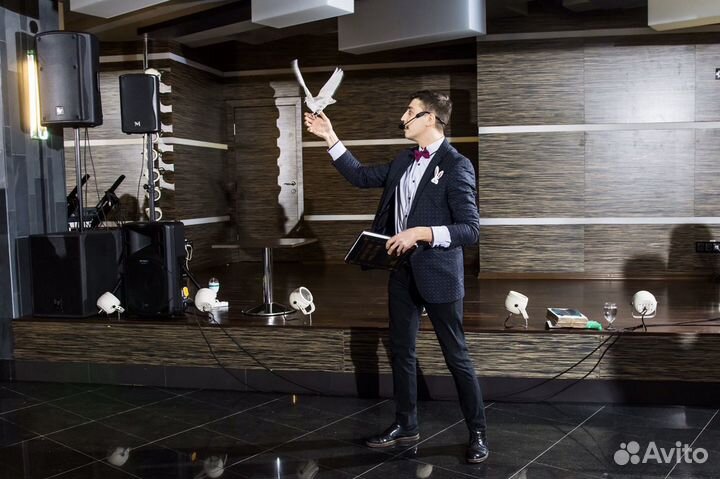 Фокусник- иллюзионист на свадьбу/юбилей