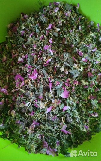 Горные травы, домики для проживания в Мезмае