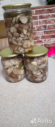 Маринованные маслята, соленые грузди