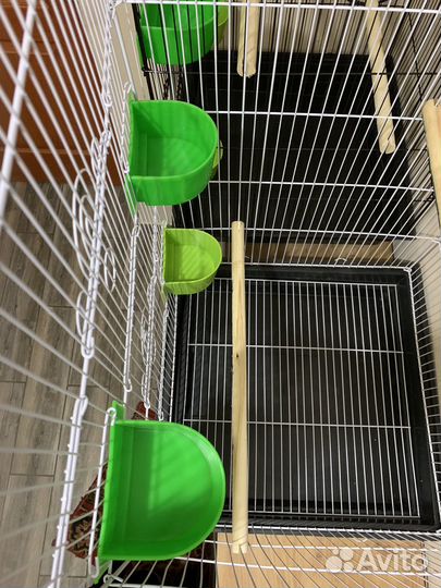 Большие клетки для попугаев