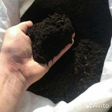 Земля для грядок. Чернозем. Плодородная земля