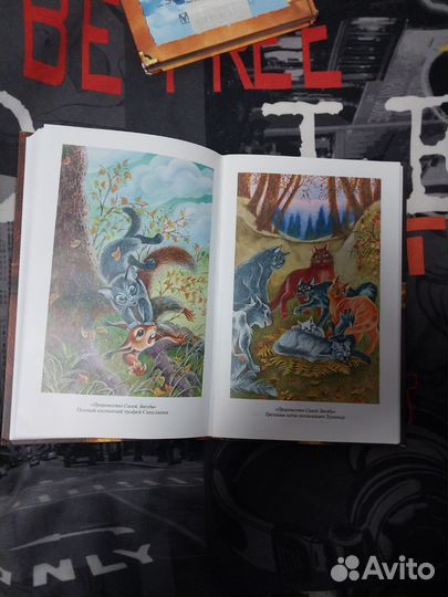 Книги коты воители