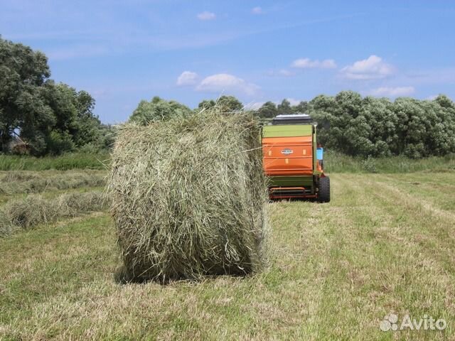 Сено в тюках