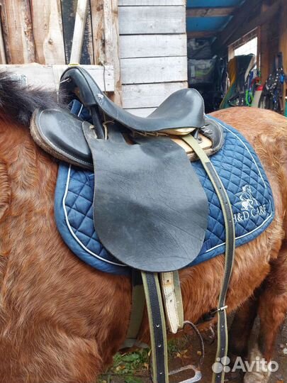 Седло скаковое