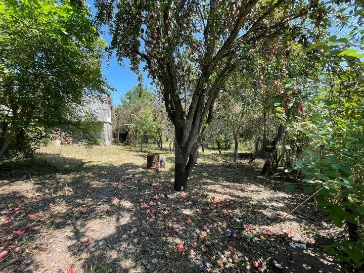 Дом 24 м² на участке 9,2 сот.