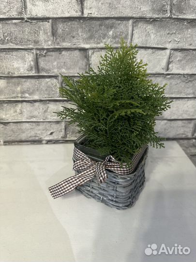 Декор для дома и фотосессий