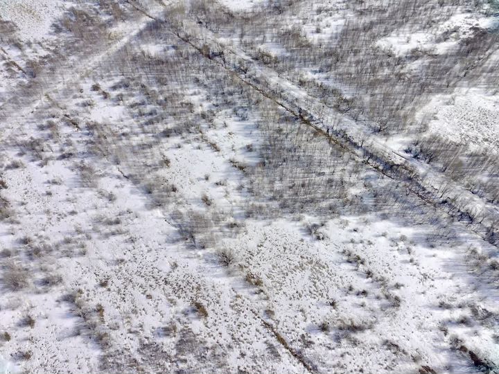 Участок 80 сот. (ИЖС)