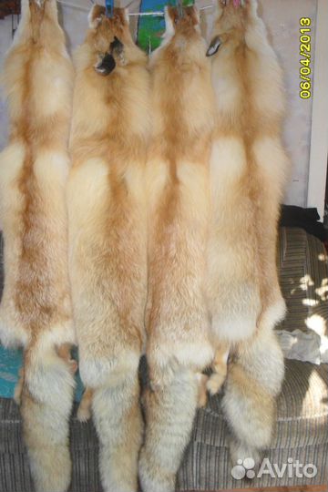 Шкуры рыжей лисы