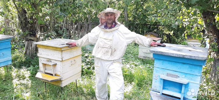 Пчелы+ Улей