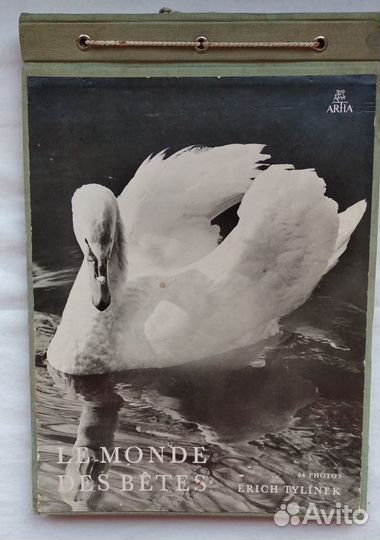 Альбом фотографий животных