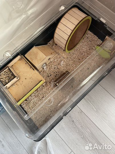 Клетка для грызунов Cavia и аксессуары