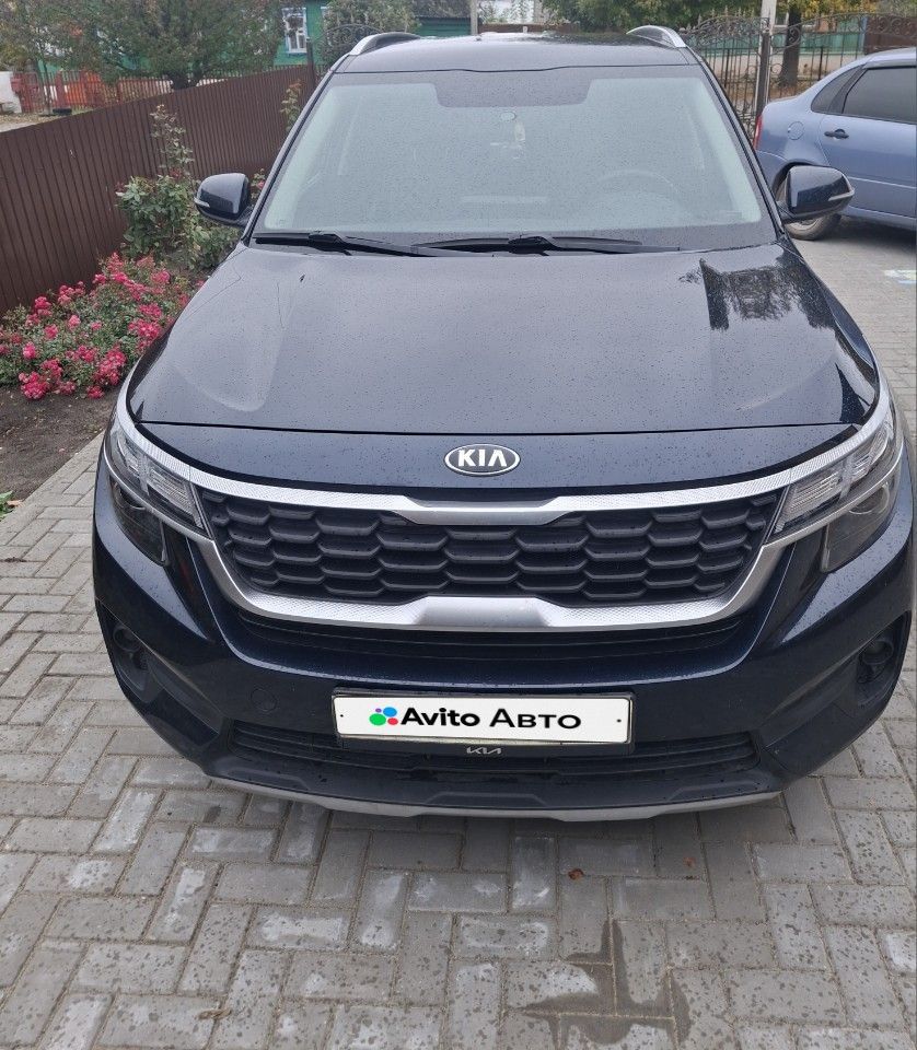 Kia Seltos: фото владельца