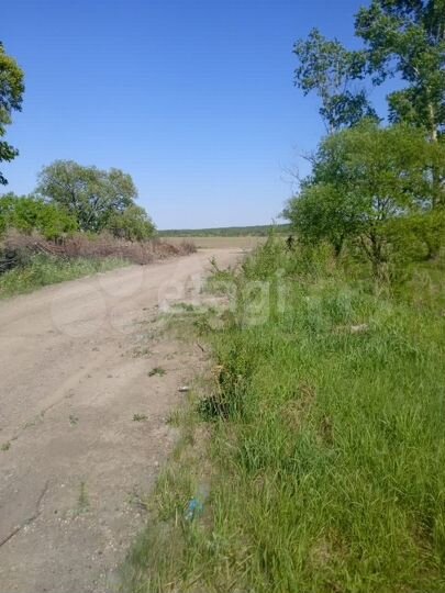 Участок 20 сот. (ИЖС)