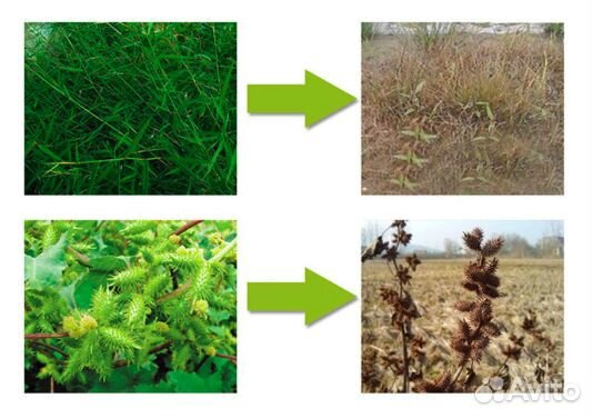 Гербицид ржд