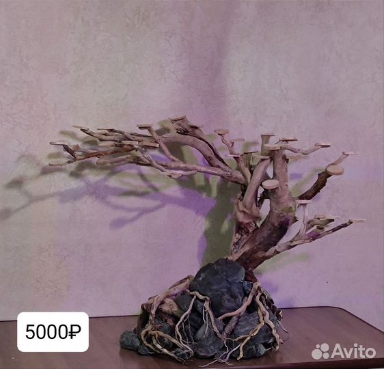 Коряга для аквариума бонсай