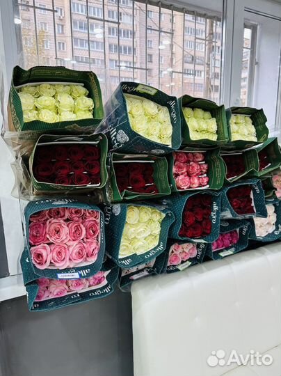 Кустовая хризантема, розы