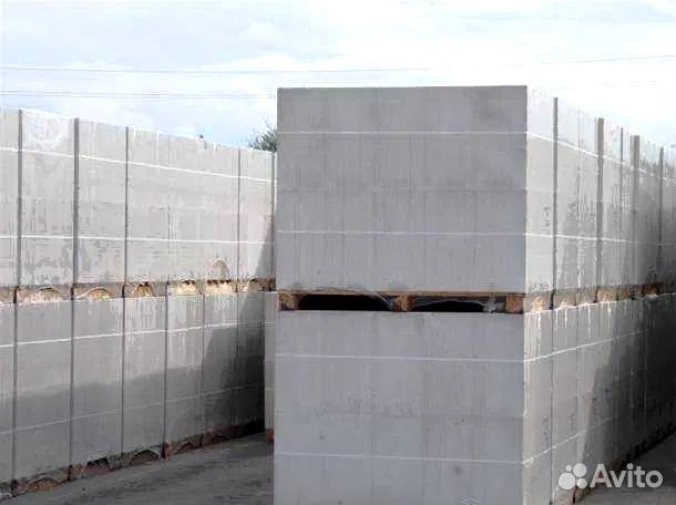 Газоблок 50х250х600