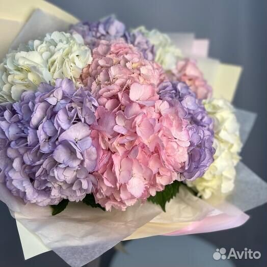Букет / Гортензии / Прямые поставки