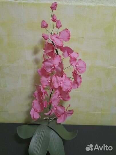 Музыка ветра