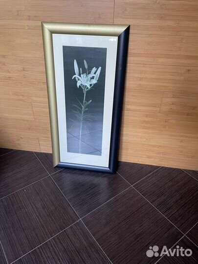 Пано Klaus Mischke 30/70, Германия