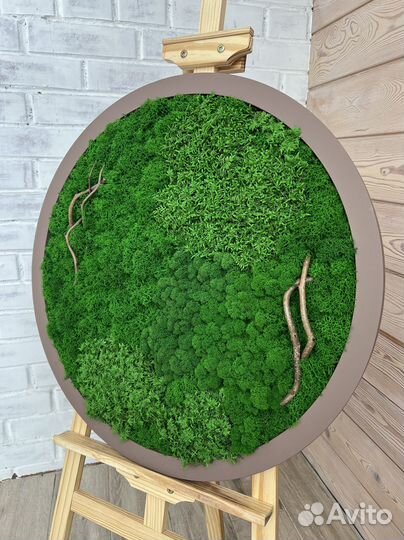 Панно из стабилизированного мха