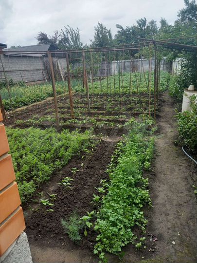 Дом 179 м² на участке 11 сот.