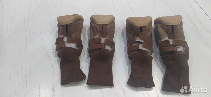 Зимняя обувь для собак