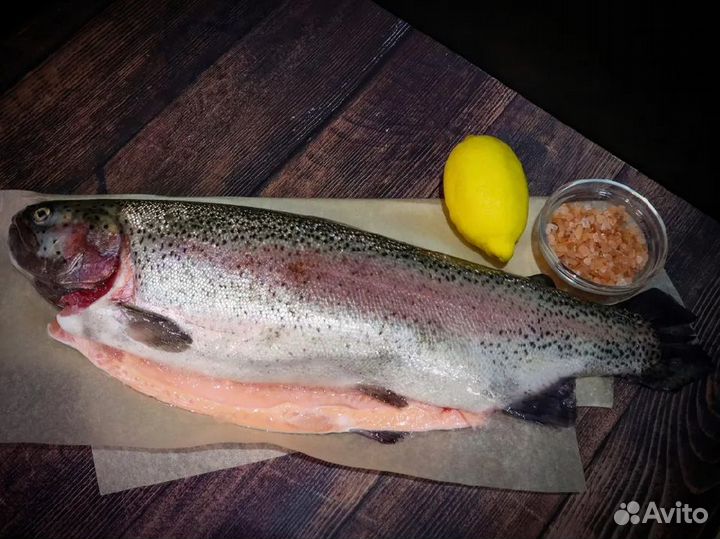 Свежая охлажденая форель (Карелия)