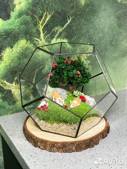 Флорариум корги моссариум собаки букет подарок