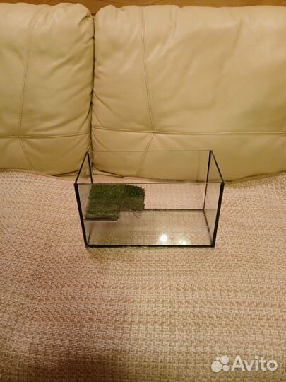 Террариум для черепахи