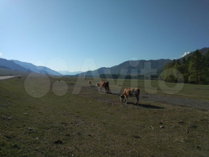 Участок 2 га (СНТ, ДНП)