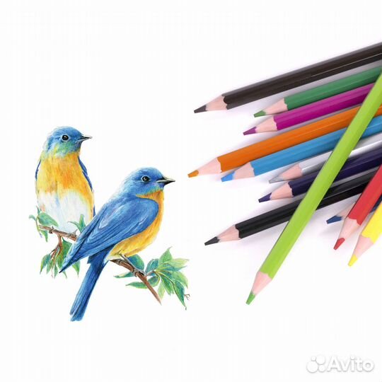 Карандаши цветные Юнландия, уп. 2 набора по 12 цв