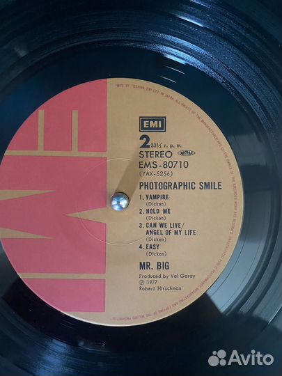 Mr Big - Photographic smile 1lp Japan vinyl