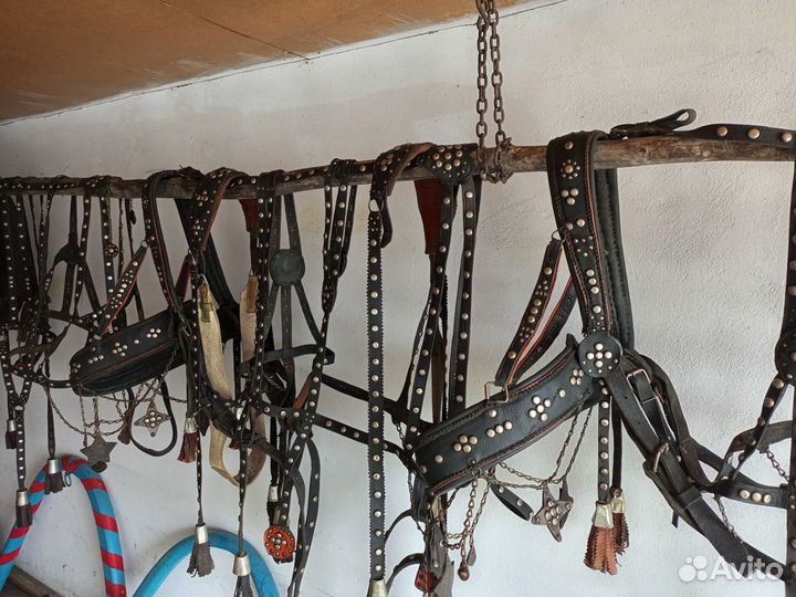 Выездная збруя на тройку