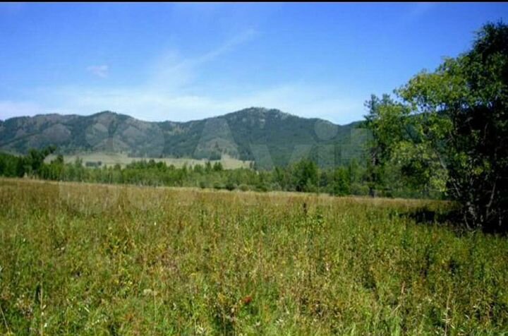 Участок 2 га (СНТ, ДНП)