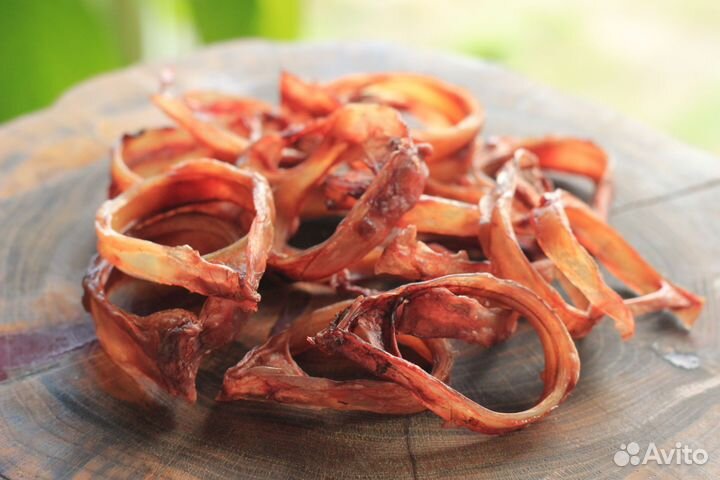 Лакомства для собак