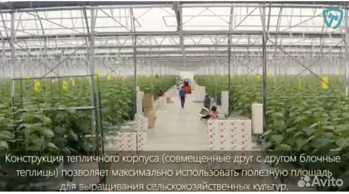 Агрокомплекс