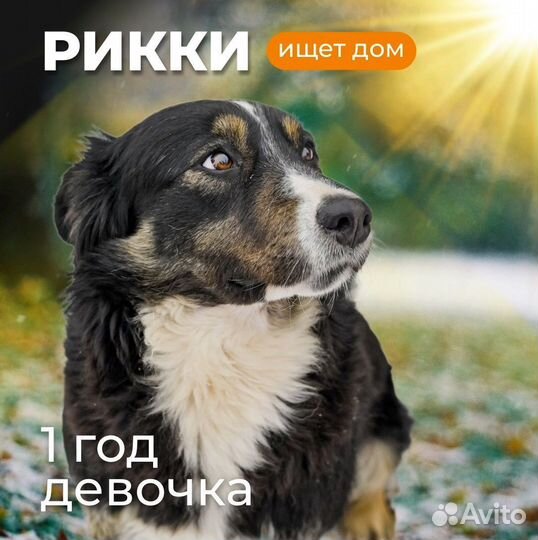 Девочка Рикки