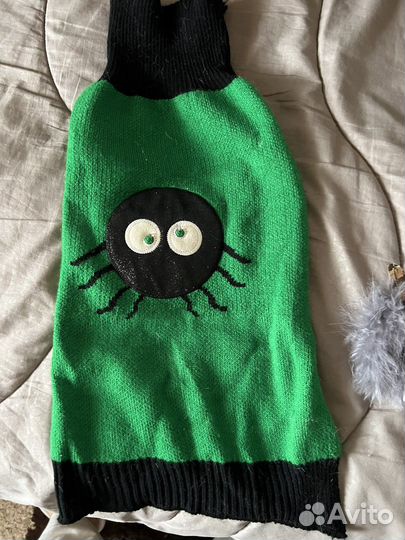 Одежда для животных