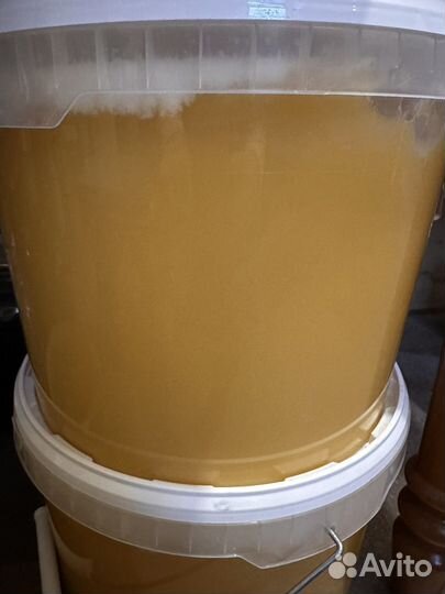 Мёд опт. 2023г